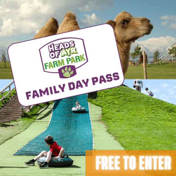 HEADS OF AYR FAMILY PASS  - FREE TO ENTER